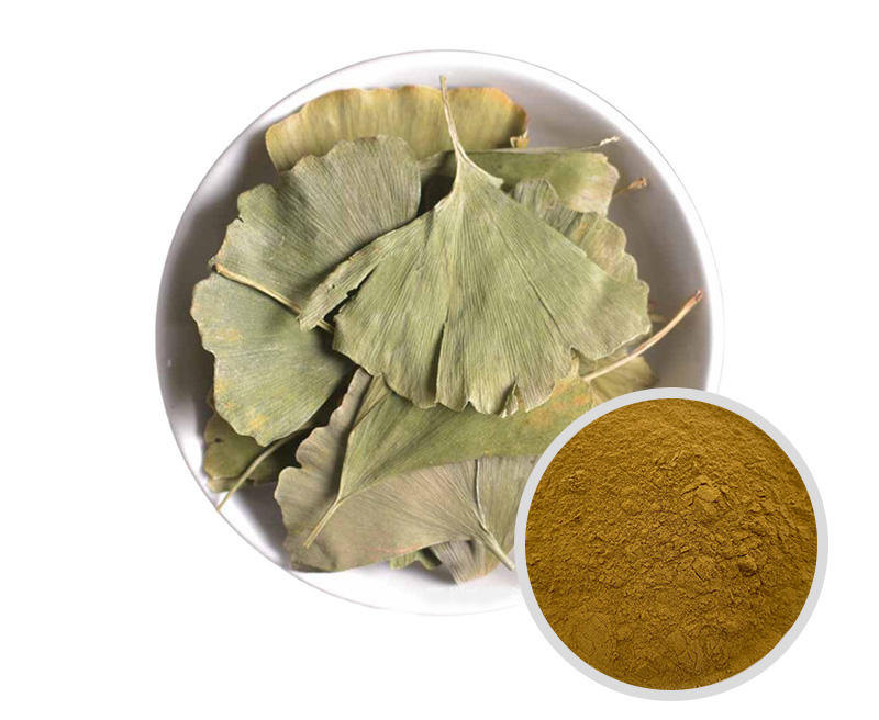 銀杏葉提取物 水解小分子提取物_植物提取物_產品中心_山東通圓共和生