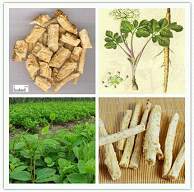 中國(guó)天然植物提取物行業(yè)市場(chǎng)淺析