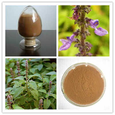 弗斯可林 20% 毛喉鞘蕊花提取物 主打產(chǎn)品