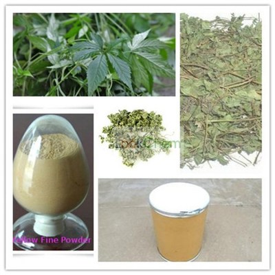 絞股藍(lán)提取物 探索絞股藍(lán)總皂苷的多樣規(guī)格與應(yīng)用潛力